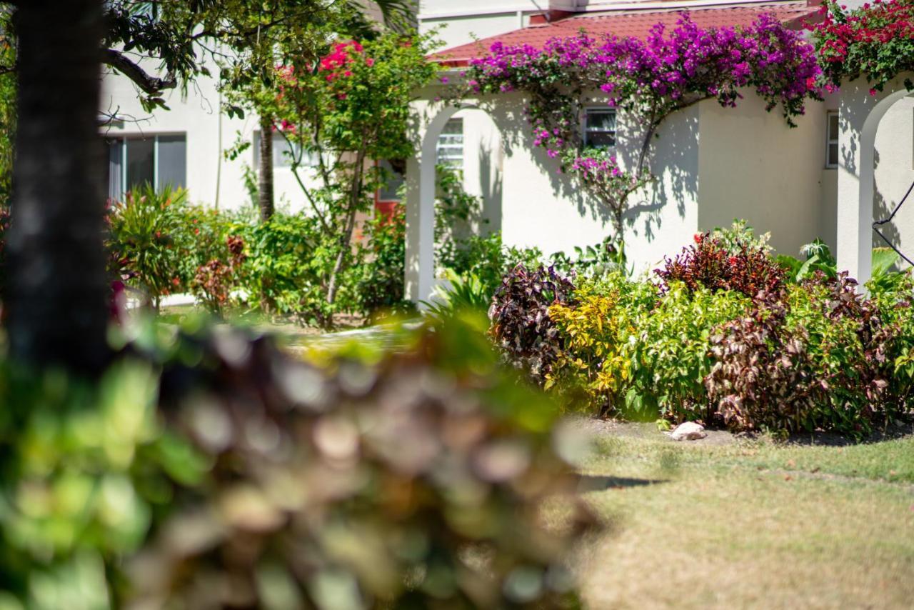 Antigua Village Beach Resort Дикенсон-Бей Экстерьер фото